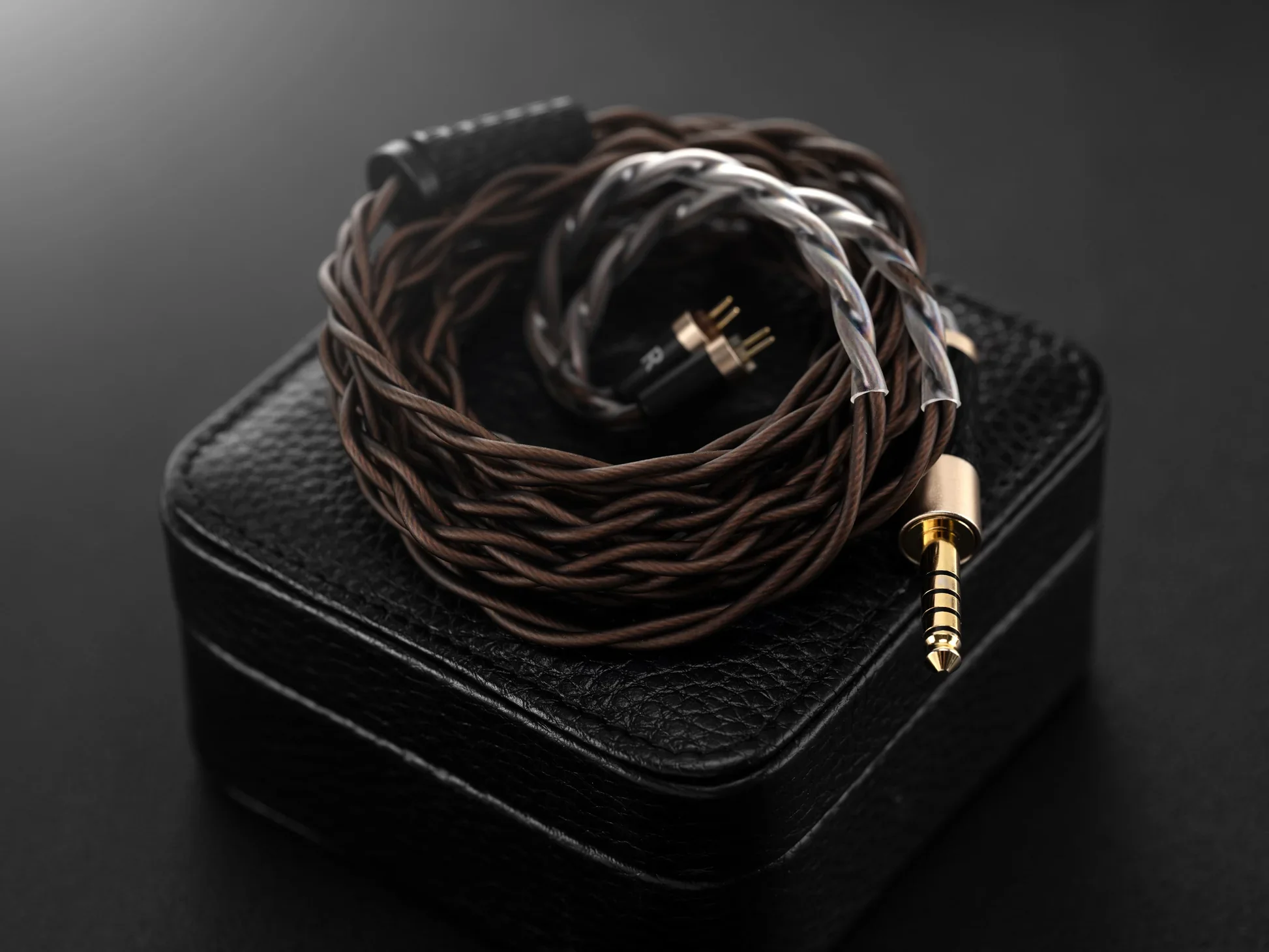 QoA Queen of Audio Martini 6 drivers Hybrid In ear Monitors - Image 2